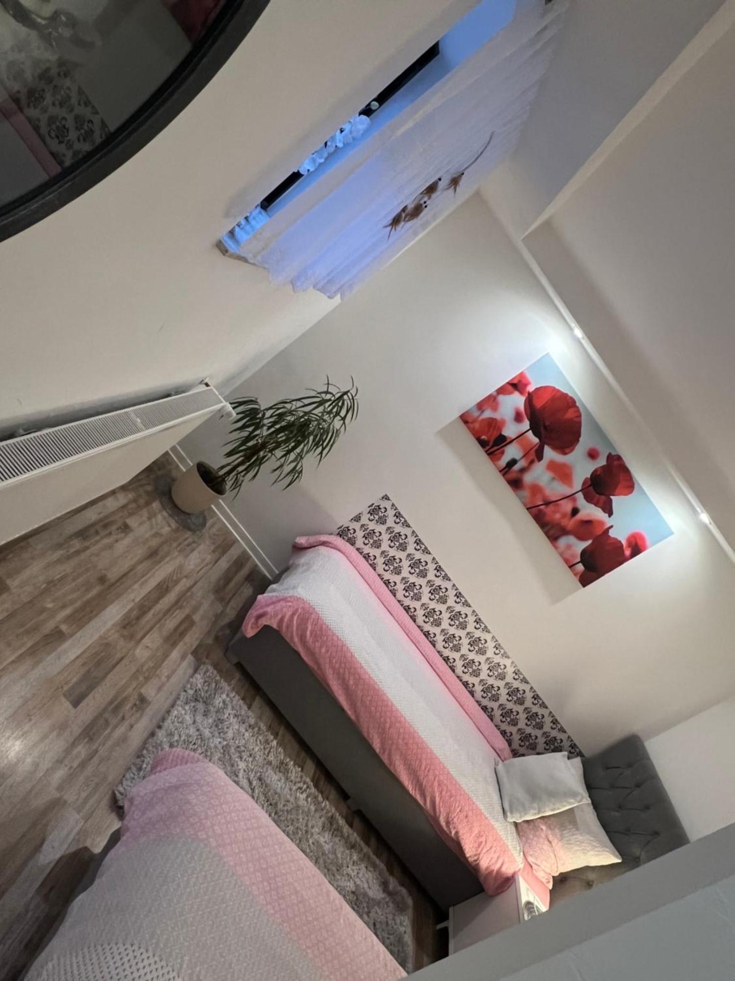 Beti Apartment 2 Nentershausen  Екстер'єр фото